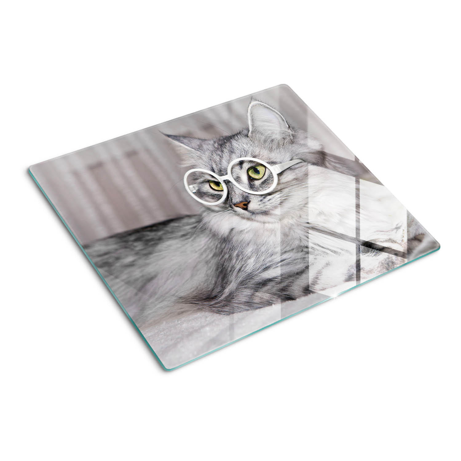 GLASPLATTE 60x52 cm Katze mit Brille - Grau, Glas (60/52cm) - TULUP