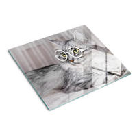 GLASPLATTE 60x52 cm Katze mit Brille - Grau, Glas (60/52cm) - TULUP