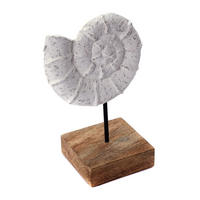 SKULPTUR MUSCHEL Shell Mangoholz-Sockel weiß-natur - Weiß, Holz (15/25/10cm) - CREEDWOOD