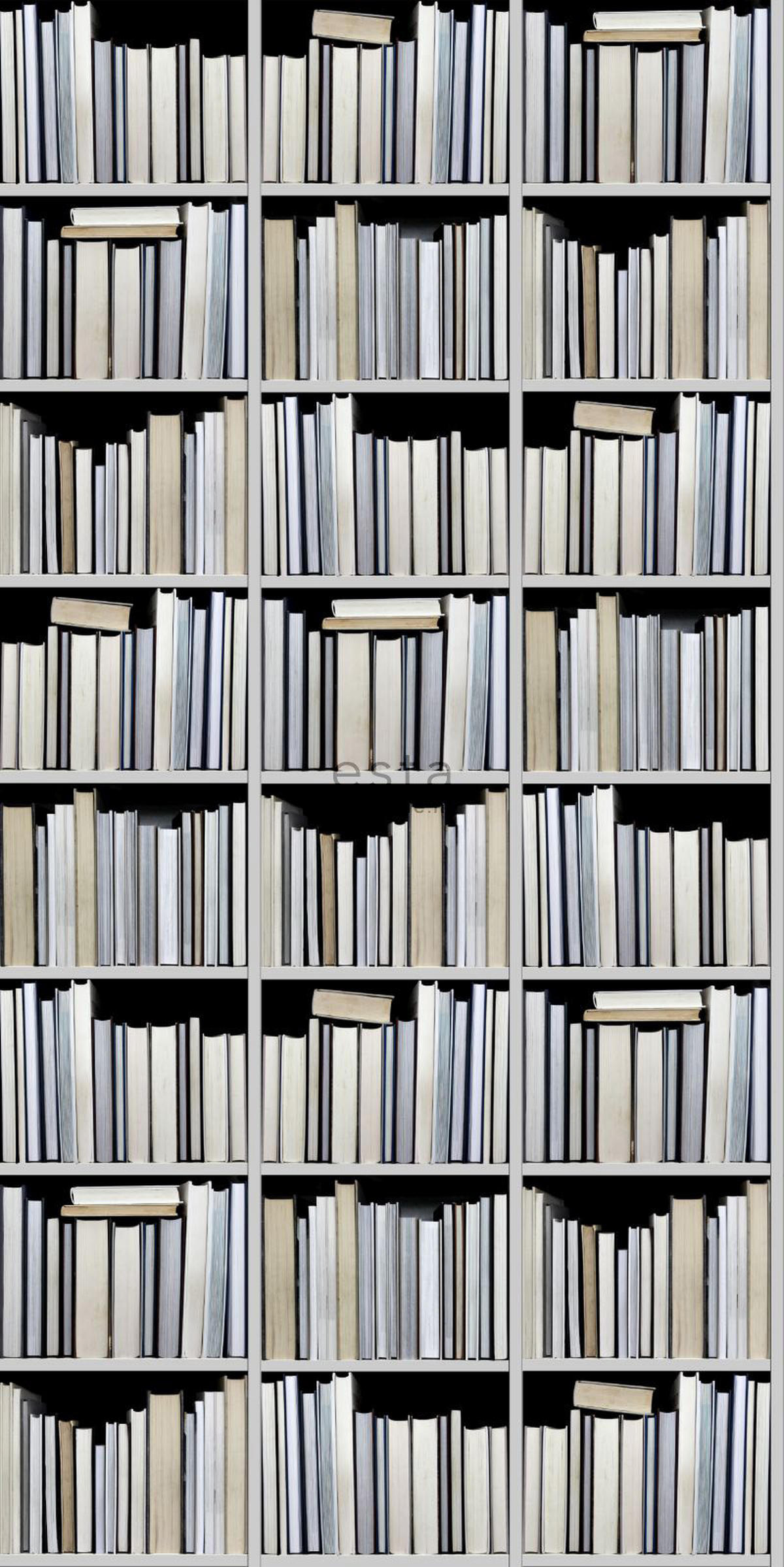 XXL-VLIESTAPETE Bücherregal 50 x 900 cm - Schwarz, Papier (50/900cm) - ESTAhome