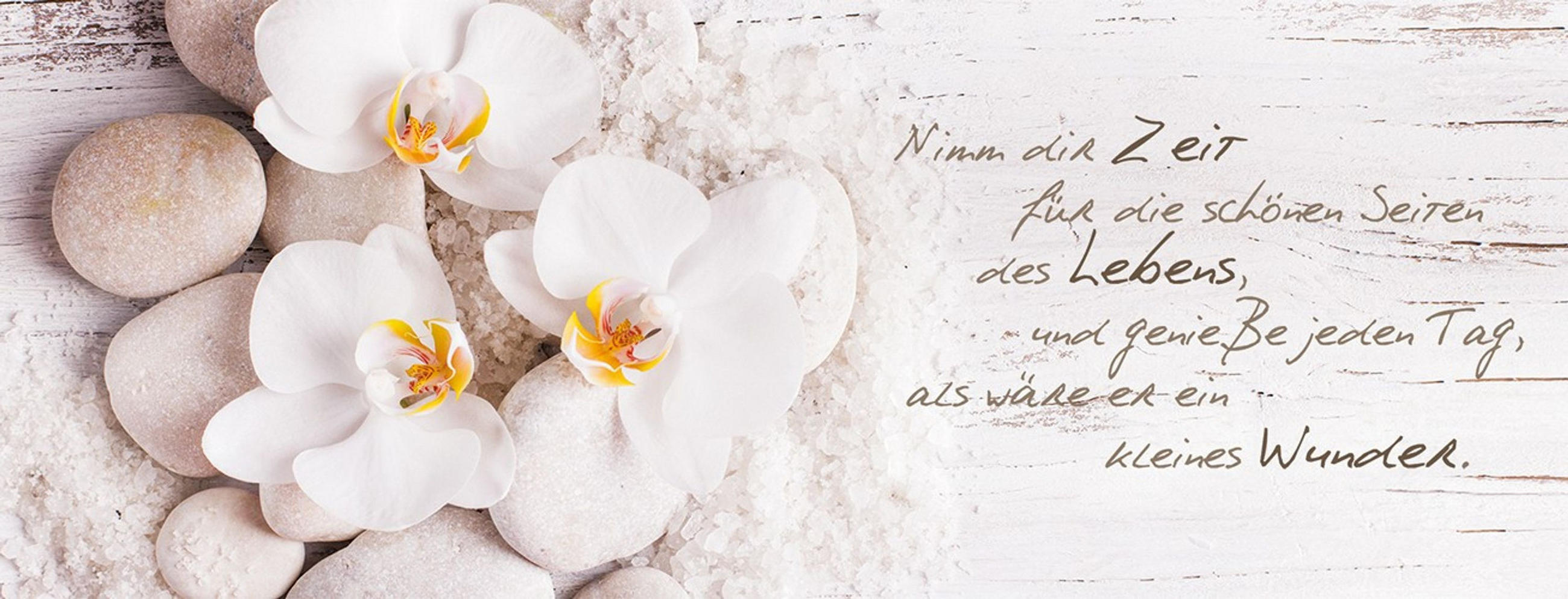 GLASBILD 80x30 cm Spruch Orchidee Weiß Beige - Beige, Glas (80/30cm) - artissimo