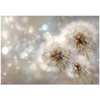 FOTOTAPETE Pusteblumen Blumen Beige 400x280 cm - Multicolor, Papier (400/280cm) - Wallarena