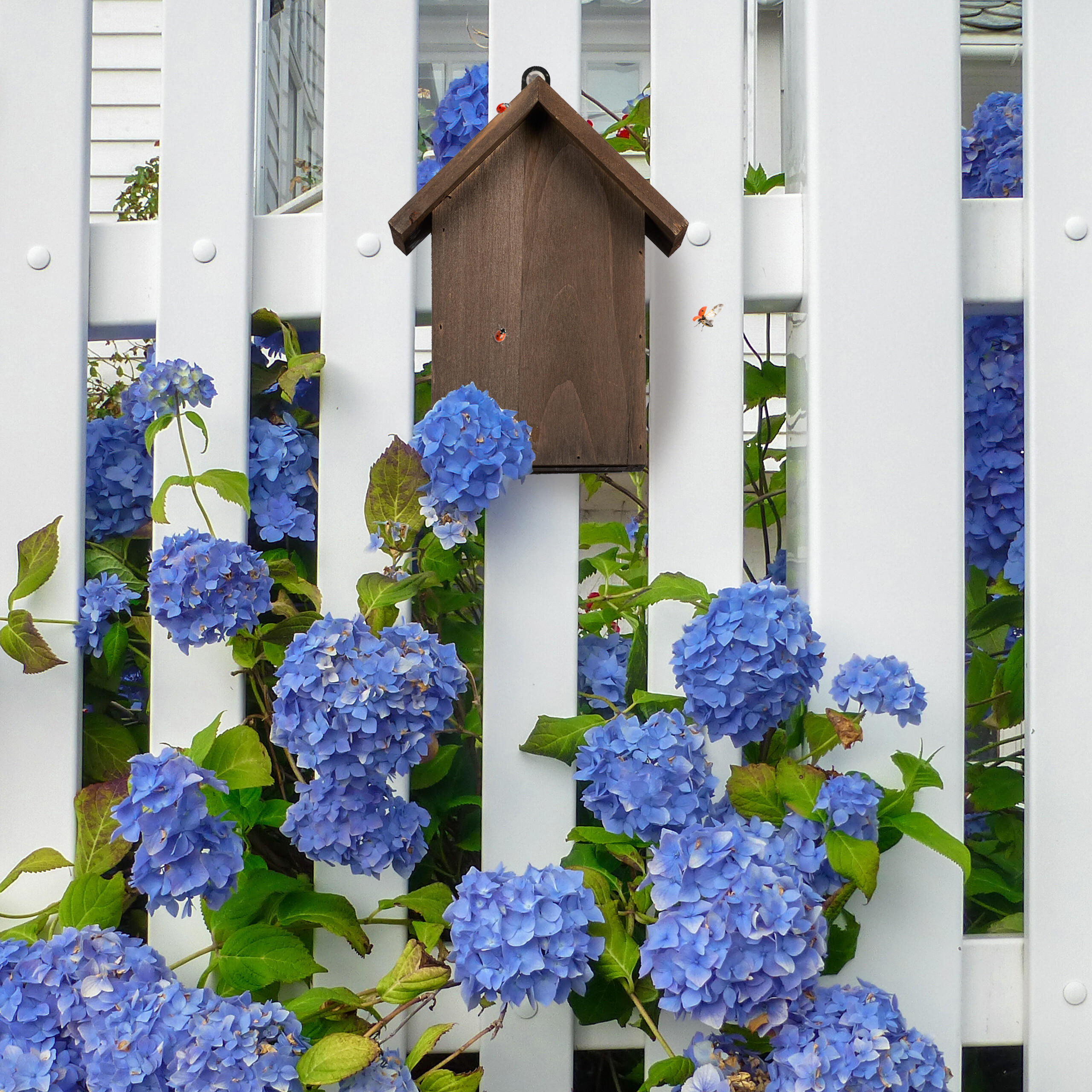 MARIENKÄFERHAUS - Braun, Holz (17/22/10cm) - Relaxdays