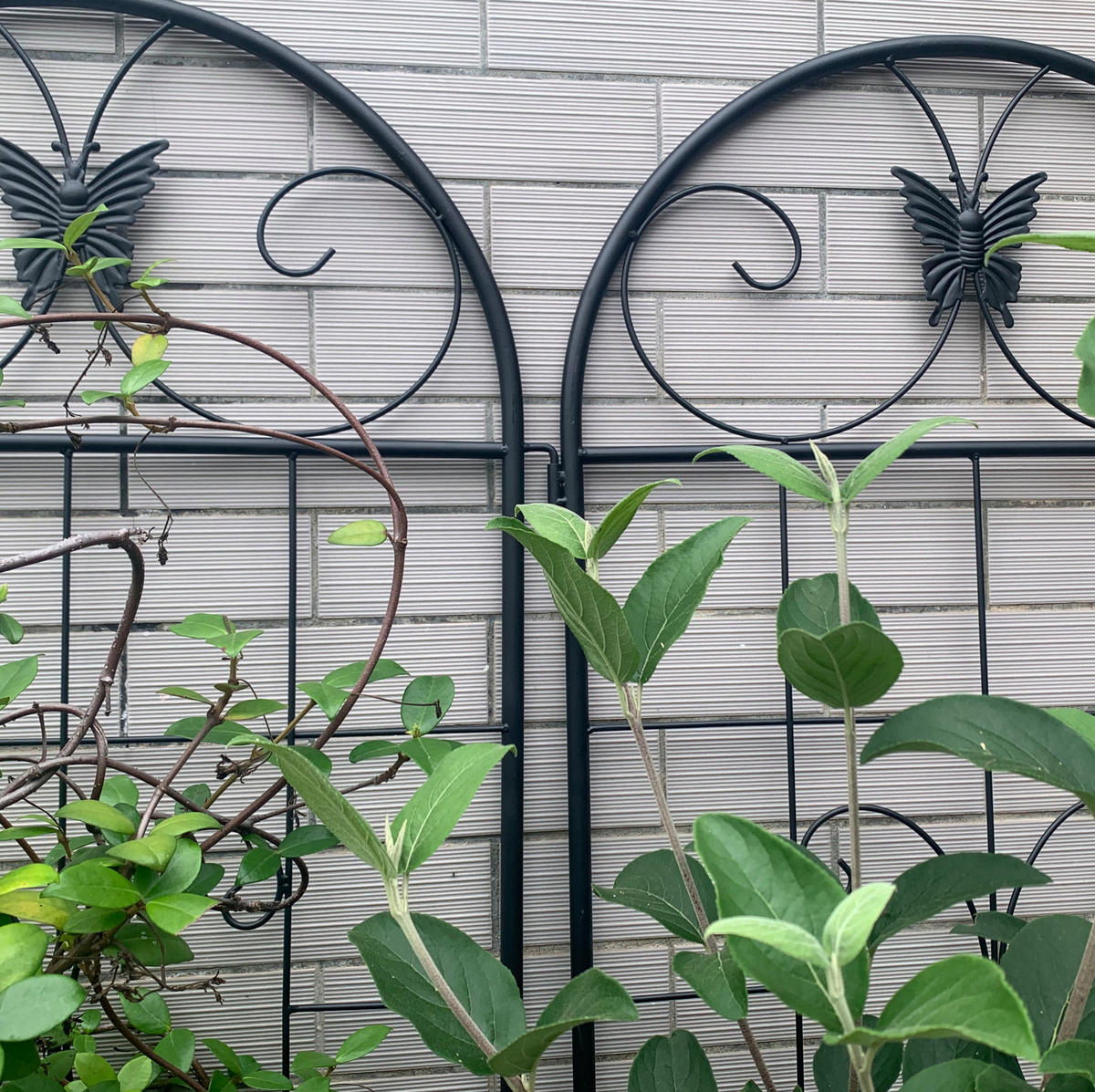 BLUMENKASTENHALTER aus Metall 50x180cm in Schwarz - Schwarz, Metall (50/180/50cm) - Modfu