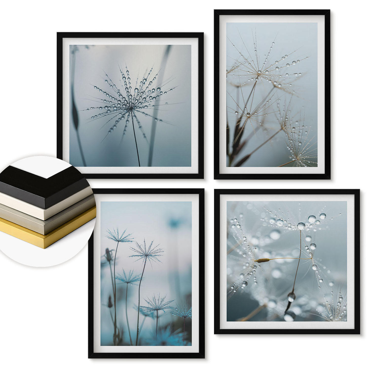 WANDBILDER 4er-Set - 50x50 cm & 40x60 cm Schwarzer Rahmen - Löwenzahn-Wassertropfen - Schwarz, Kunststoff (50/50cm) - ArtPrintCave