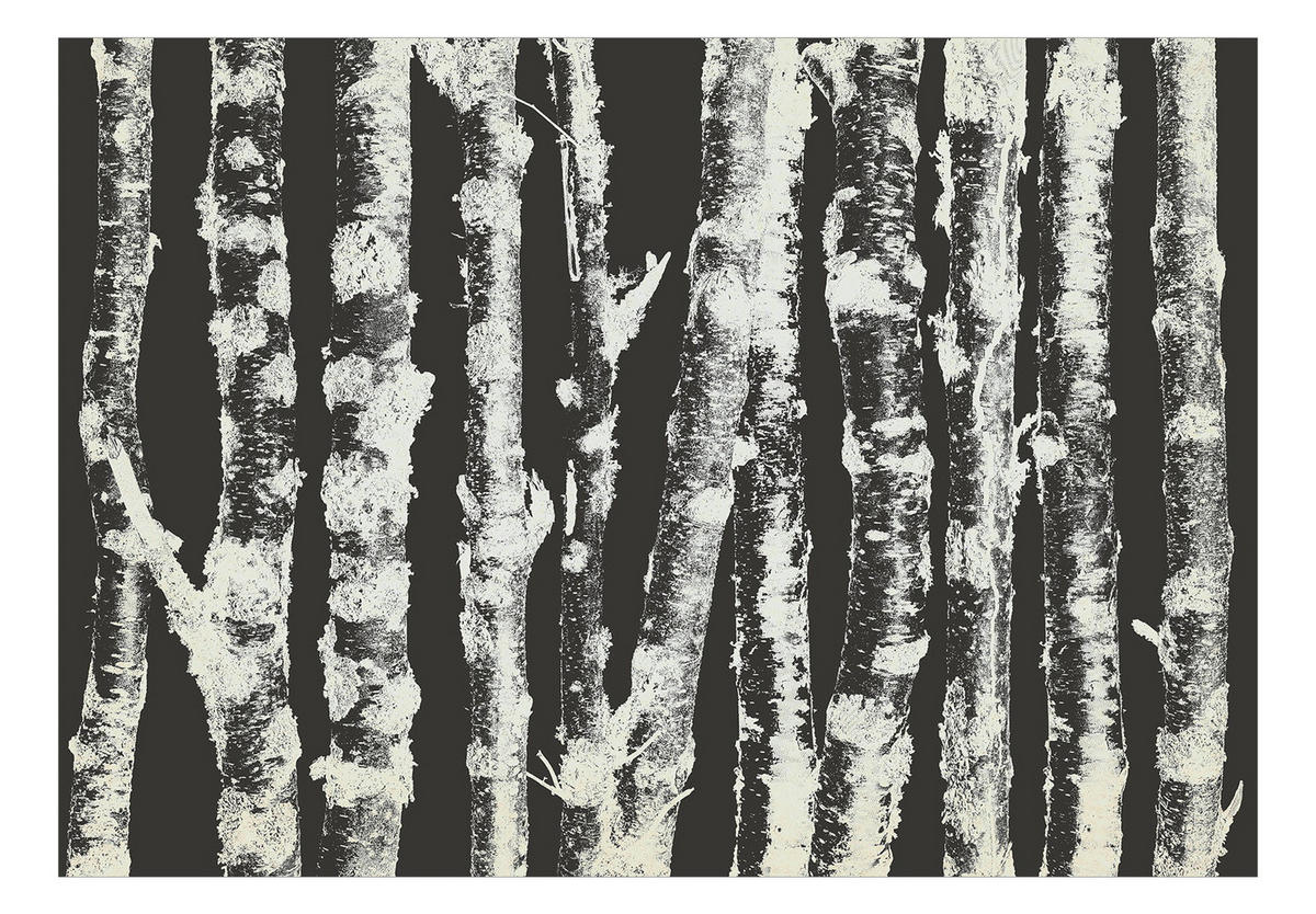 SELBSTKLEBENDE FOTOTAPETE 441/315 cm - Schwarz, Kunststoff/Textil (441/1cm) - KUNSTLOFT