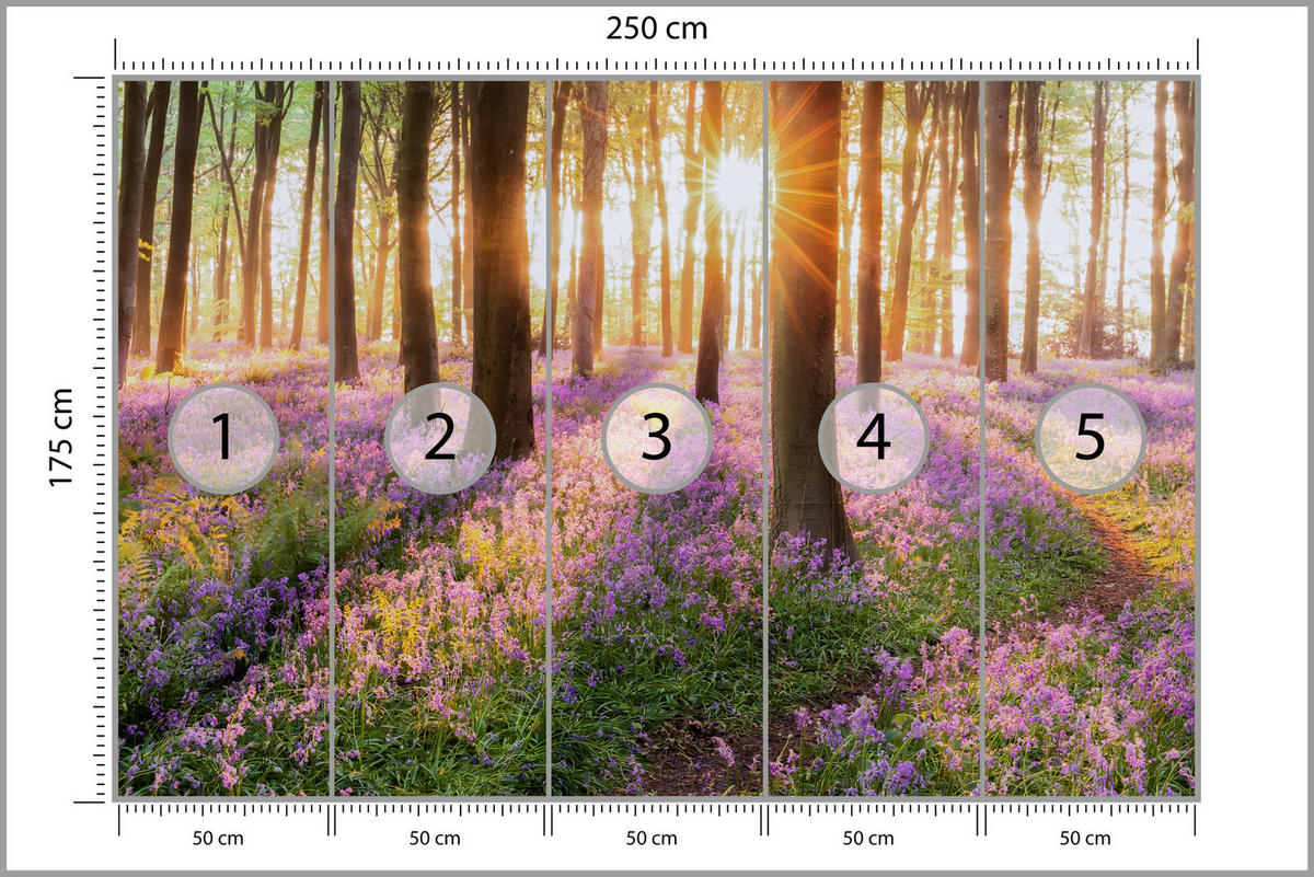 FOTOTAPETA Les Kvety Východ Slnka Krajina 3D 250 x 175 cm - oranžová/hnedá, papier (250/175cm) - Muralo