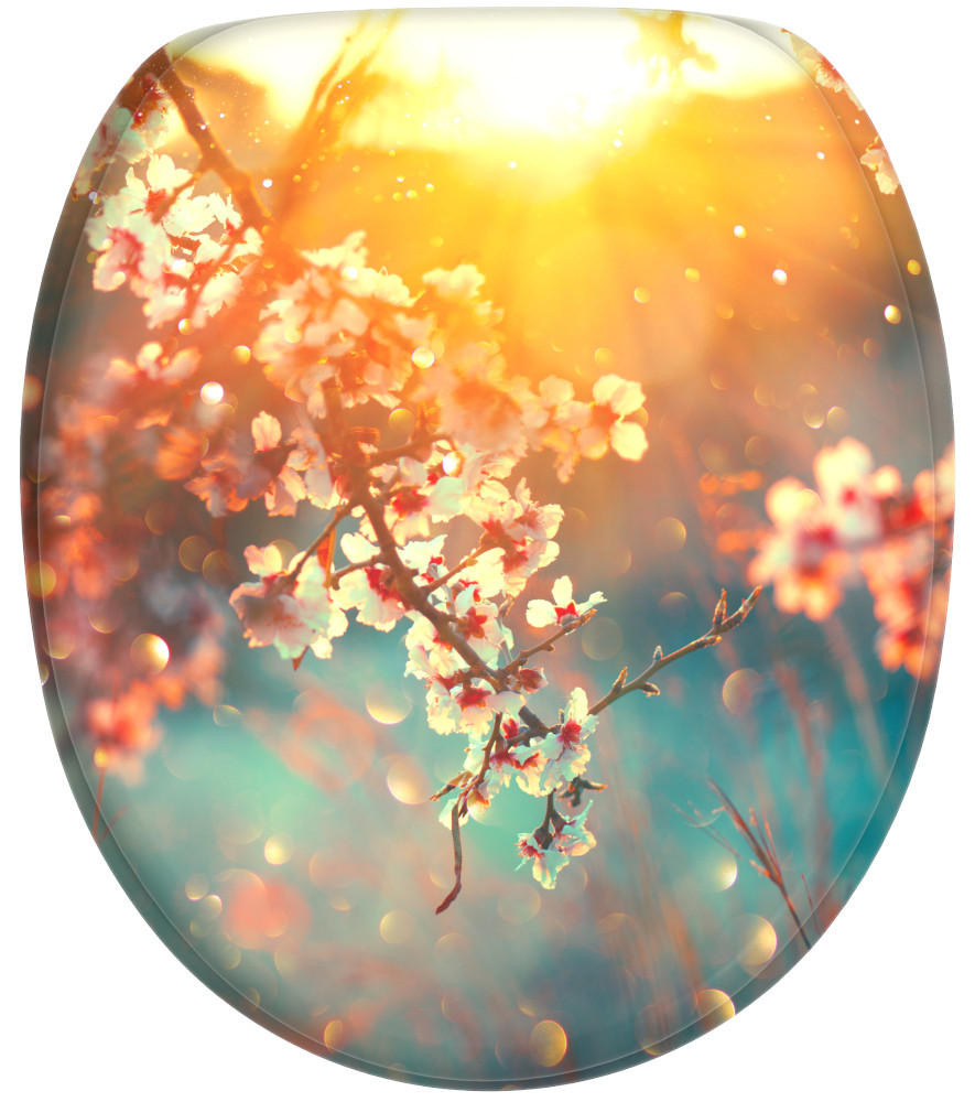 WC-SITZ mit Absenkautomatik Kirschblüte - Orange, Holzwerkstoff (38/6/47cm) - Sanilo