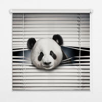 VNÚTORNÁ roleta - okenná roleta - roleta - 120x140 cm - Panda - sivá, plast (120/140/0.5cm) - TULUP