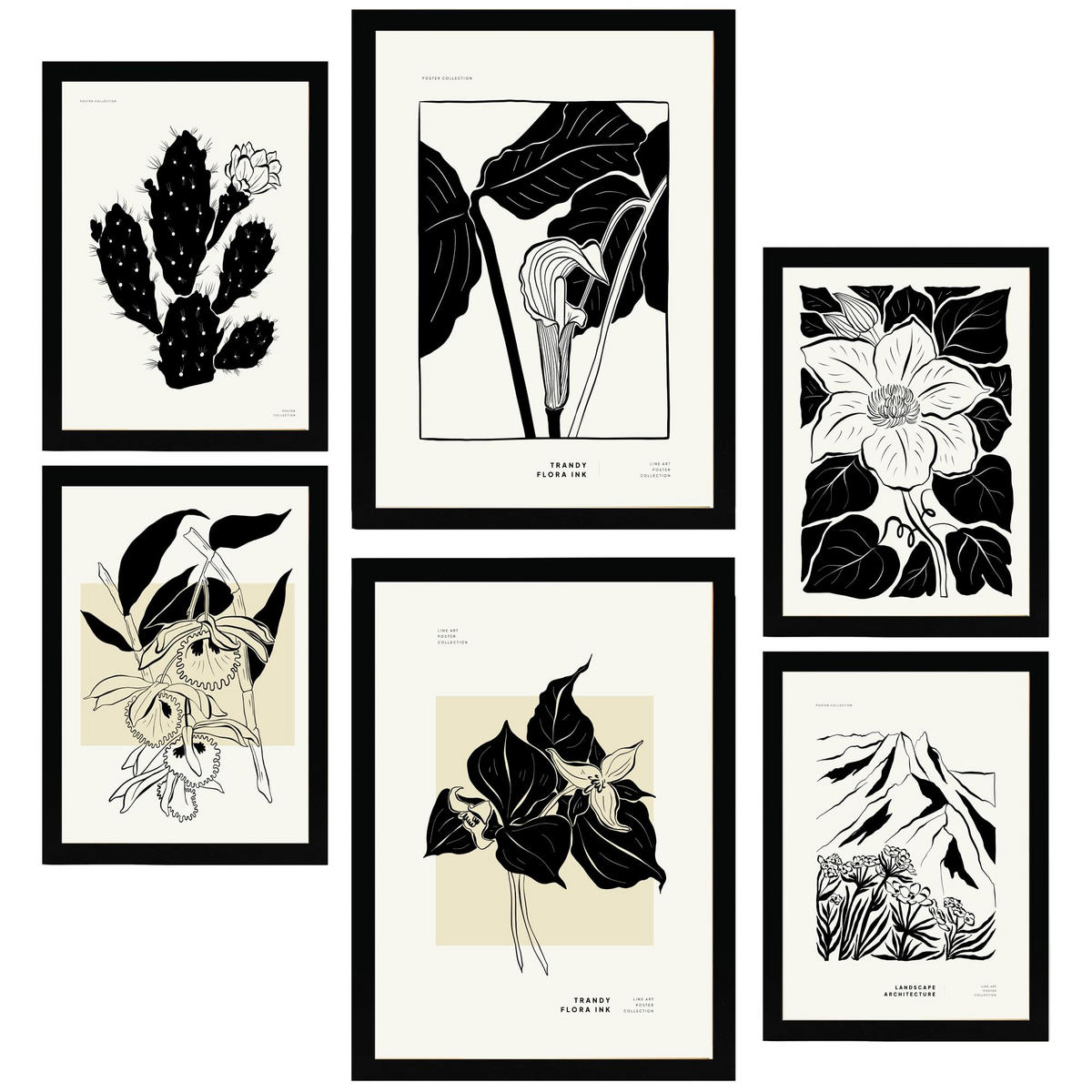 POSTER Set Mit 6 B & W Blumen 2 A3 & A4 Schwarzer Rahmen - Schwarz, Papier (29/3cm) - Nacnic