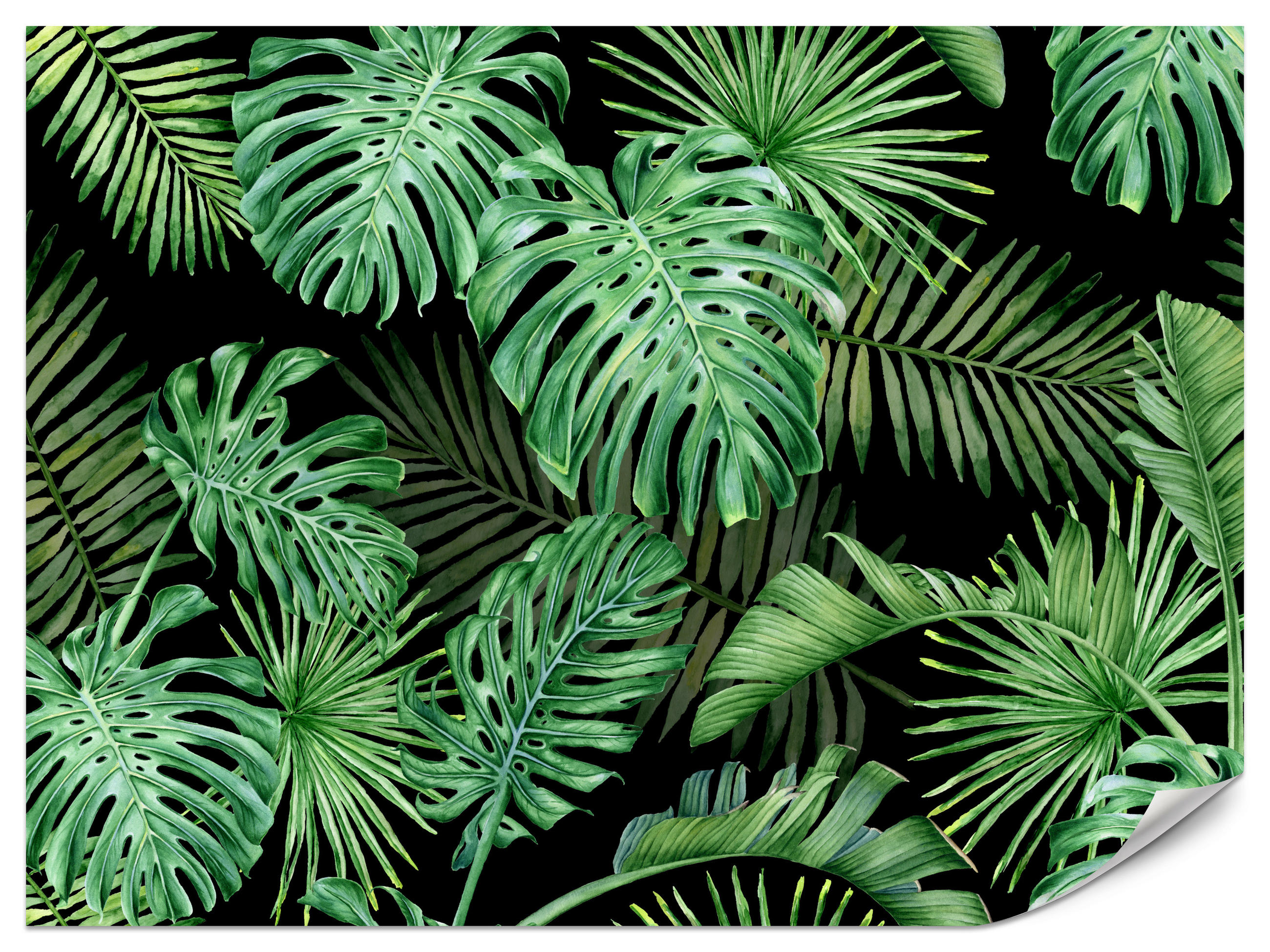 FOTOTAPETE für Schlafzimmer Exotische Grüne Monstera Palmen 500x350 - Schwarz/Grün, Papier (500/350cm) - Muralo