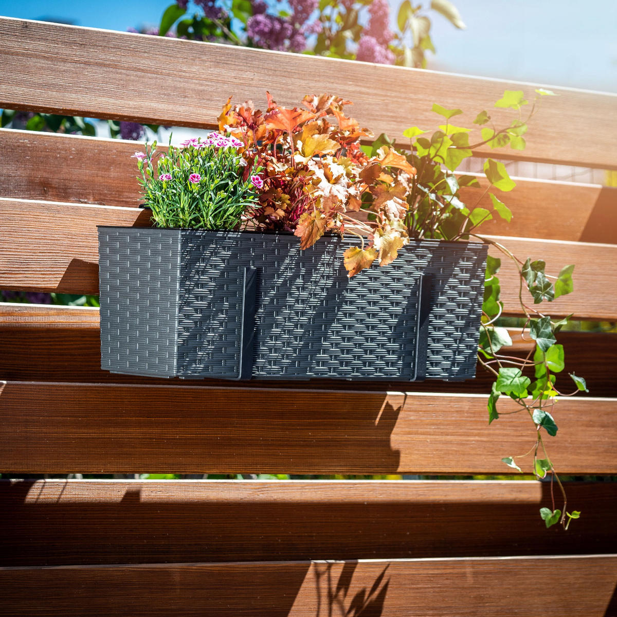 BLUMENKASTEN mit Einsatz und 2 Griffe 56 cm, Graphit - Graphitfarben, Kunststoff - KADAX