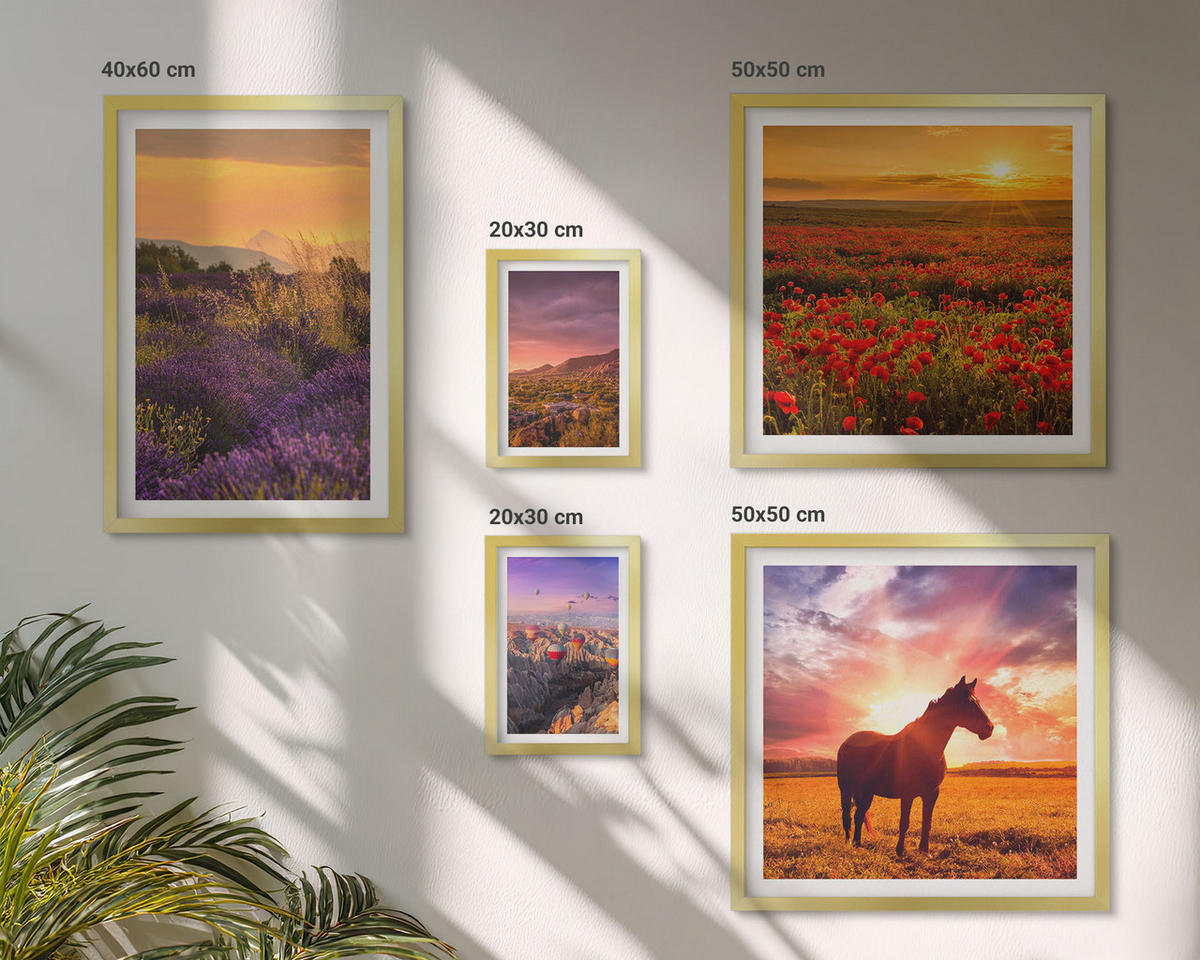 BILDER SET 5er Set - 50x50 cm & 20x30 cm & 40x60 cm Goldrahmen - Berglandschaft Rosslavendel - Goldfarben, Kunststoff (40/60cm) - TULUP