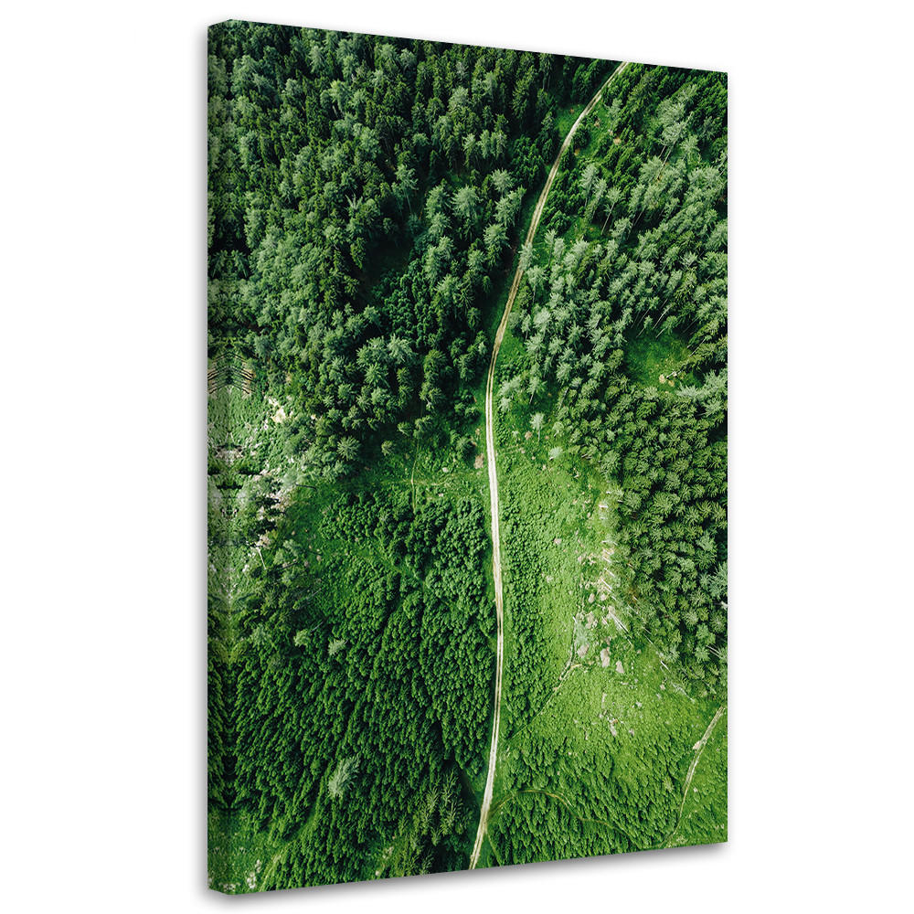 WANDBILD weg durch grünen wald - Grün, Textil (40/60cm) - Feeby