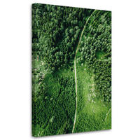 WANDBILD weg durch grünen wald - Grün, Textil (40/60cm) - Feeby