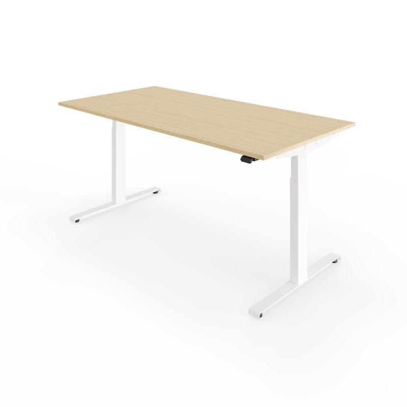 SCHREIBTISCH s32 elektrisch höhenverstellbar, 160 x 80 cm - Eichefarben, Holzwerkstoff/Metall (80/160/62cm) - hali