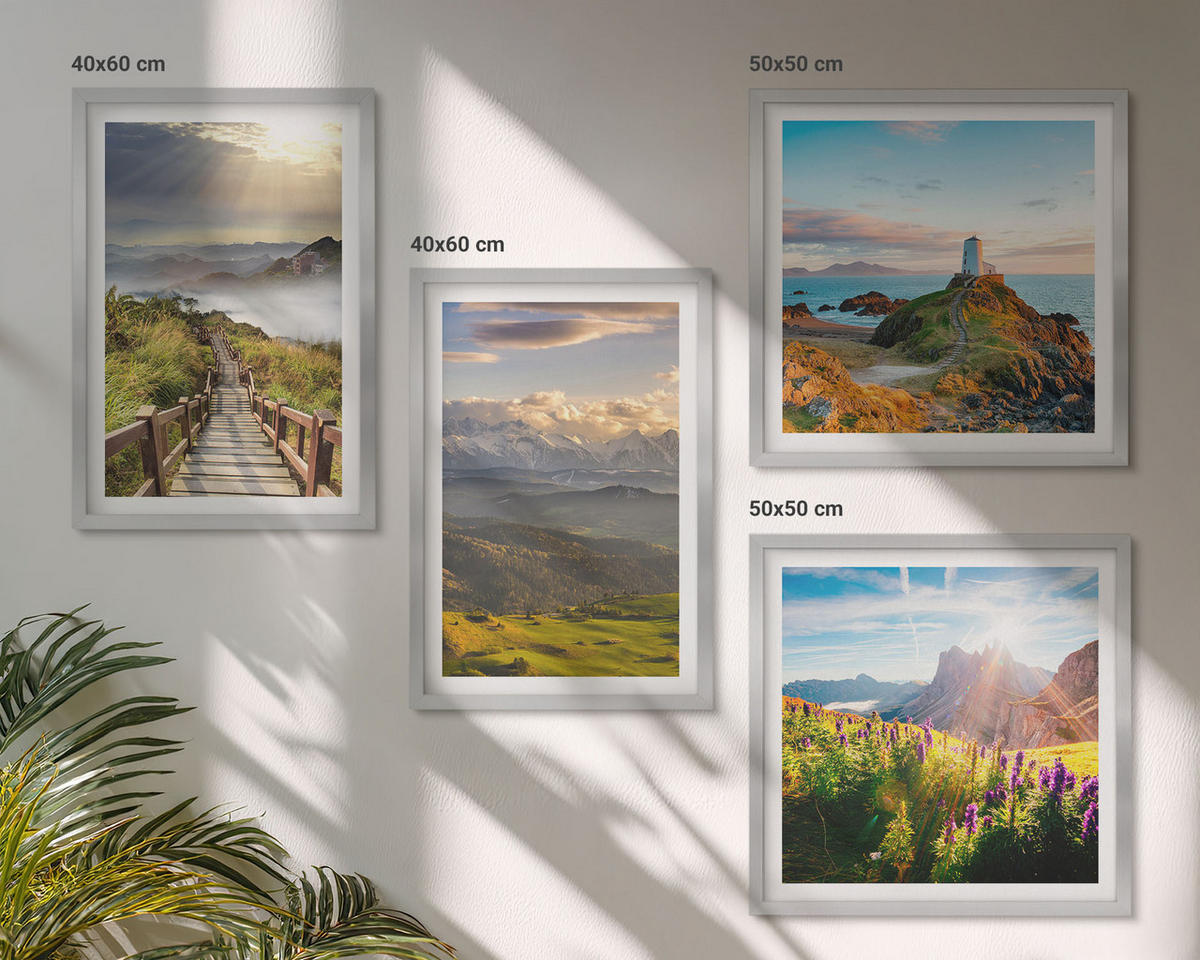 BILDER SET 4er Set - 50x50 cm & 40x60 cm Silberner Rahmen - Bergblumen Himmelsweg - Silberfarben, Kunststoff (50/50cm) - TULUP