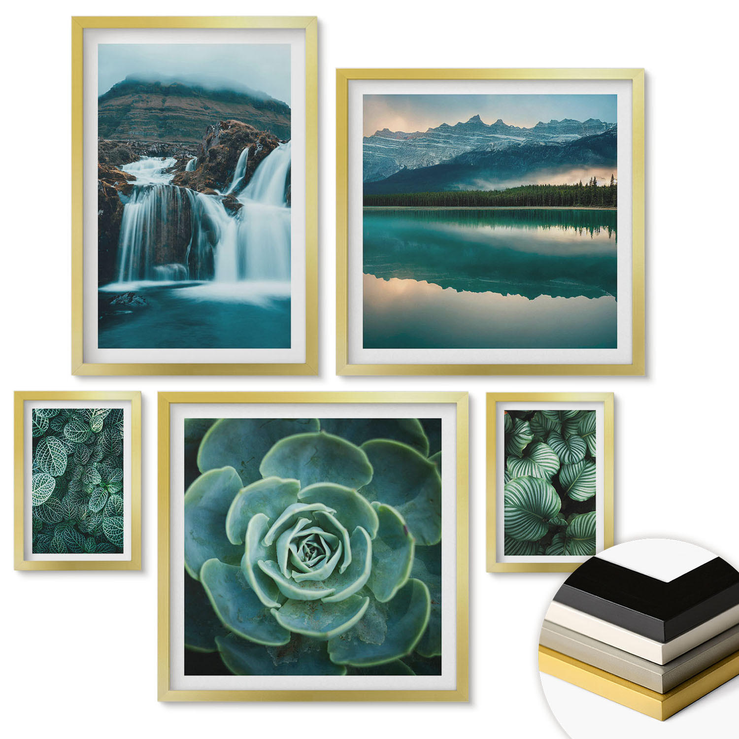 WANDBILDER 5er Set - 50x50 cm & 20x30 cm & 40x60 cm Goldrahmen - Sukkulenten in Grün und Türkis - Goldfarben, Kunststoff (40/60cm) - ArtPrintCave