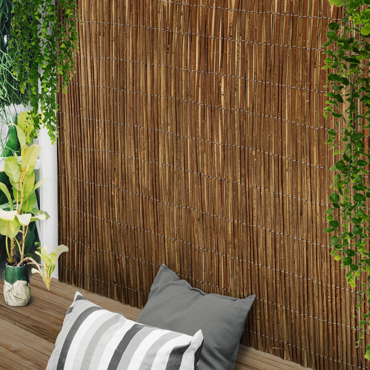 SICHTSCHUTZZAUN SolVision W79 500/160 cm Weide - Naturfarben, Kunststoff (500/160cm) - Sol Royal
