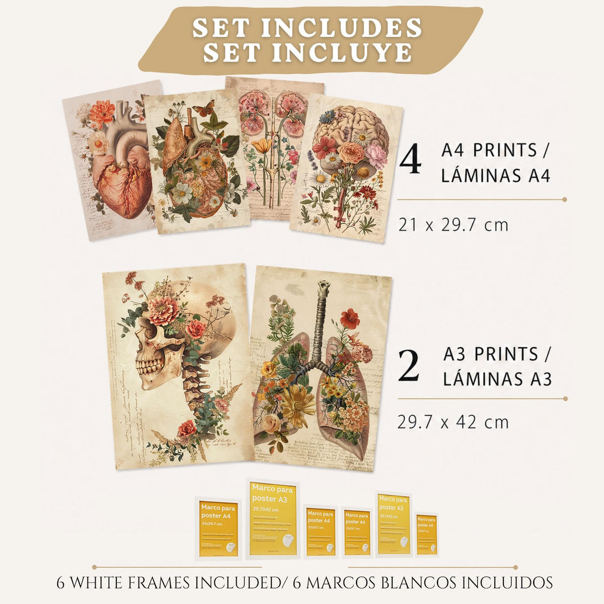 POSTER Set aus 6 Botanische Anatomie Drucke mit Herz Lungen Wirbelsäule Becken und Rippen Beige Terrakotta Erdtöne Florales Weißer Rahmen A3 & A4 - Weiß, Papier (29.7/42/3cm) - Nacnic