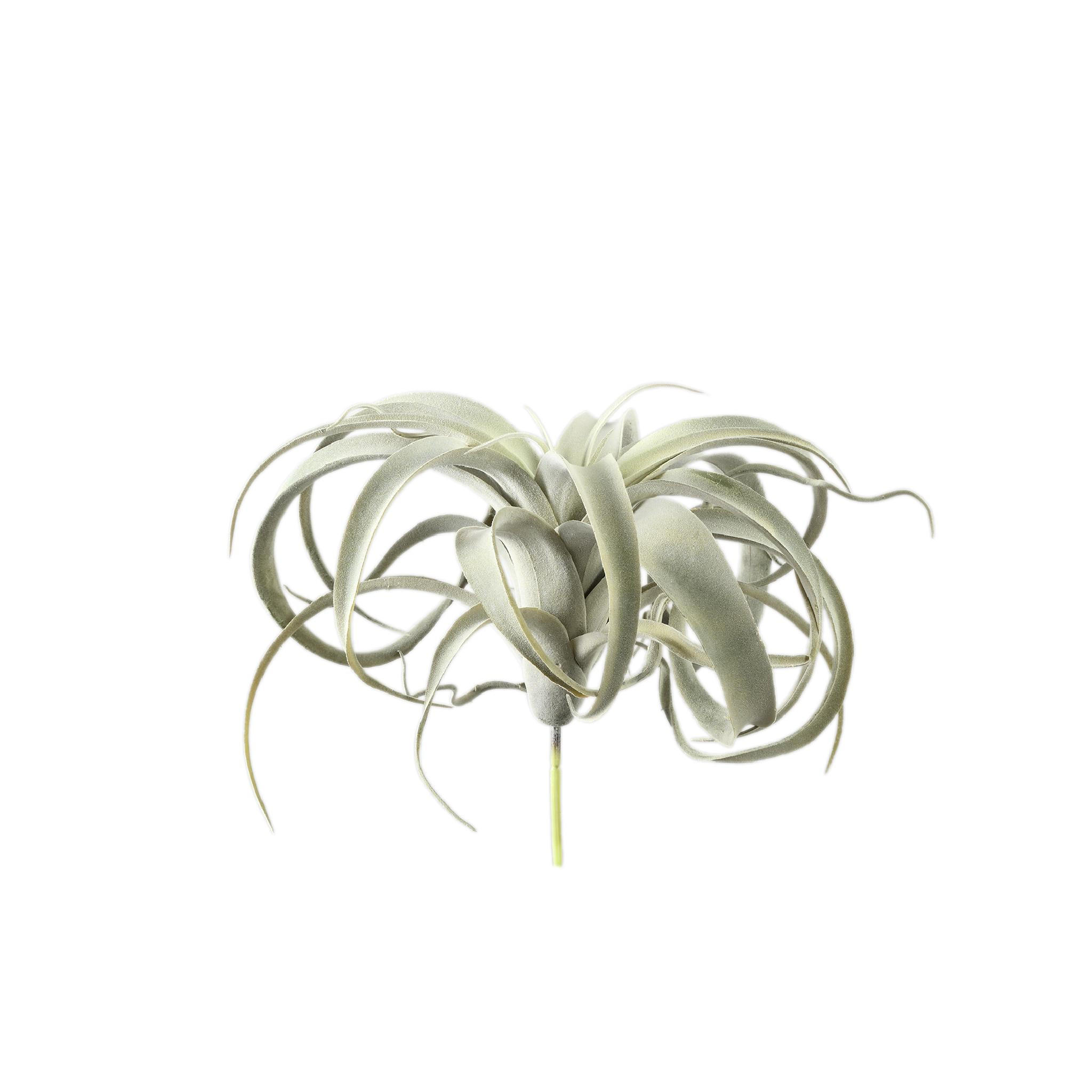 KUNSTPFLANZE Succulent Grün 18/24/25cm - Grün, Kunststoff/Metall (25cm) - PTMD Collection