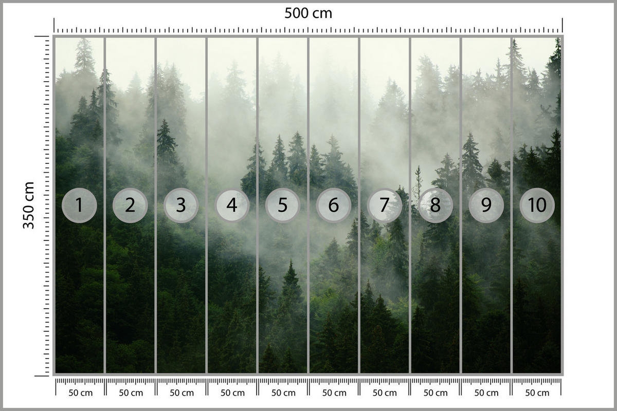 FOTOTAPETE Wald im Nebel Natur Landschaft 3D 500x350 - Grau/Grün, Papier (500/350cm) - Muralo