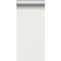 TAPETE feine Streifen - Grau, Papier (53/1000cm) - Sanders & Sanders