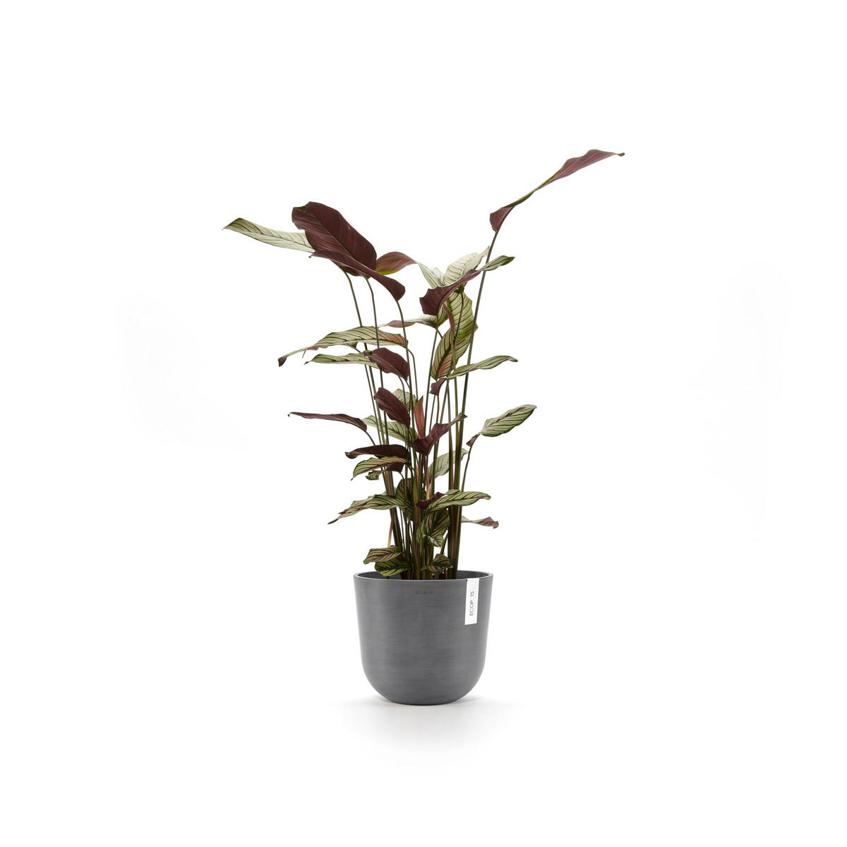 BLUMENTOPF Oslo 25/21,8 cm Grau - Grau, Kunststoff (25/21.8cm) - Ecopots