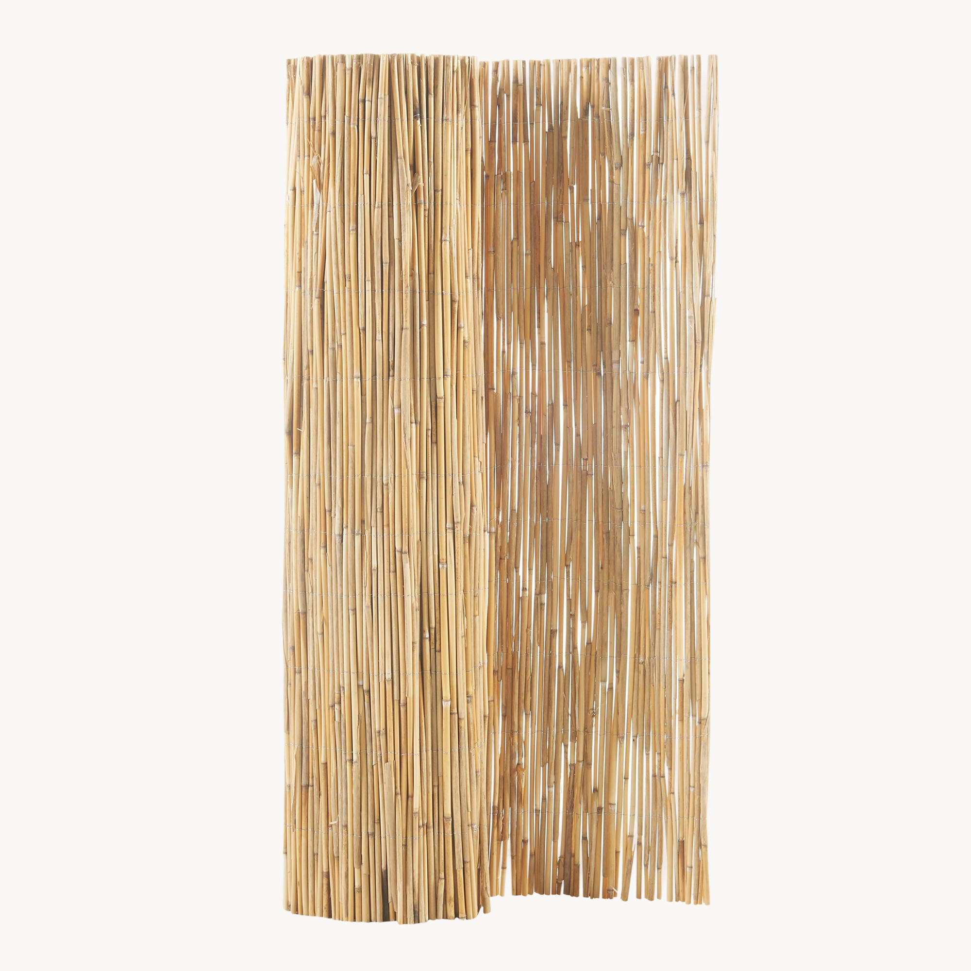 SCHILFZAUN Abbateggio - Naturfarben, Naturmaterialien (150/0.6cm) - casa.pro