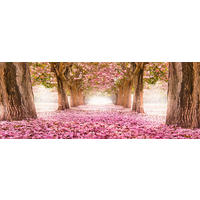 GLASBILD 80x30 cm Bäume rosa - Beige, Glas (80/30cm) - artissimo