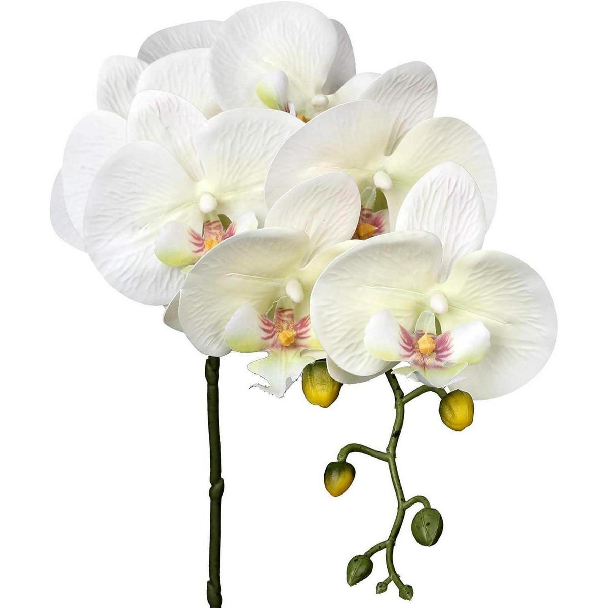 KUNSTBLUME Orchideenzweig 4-teiliges Set Beige - Weiß, Kunststoff (72.9cm)