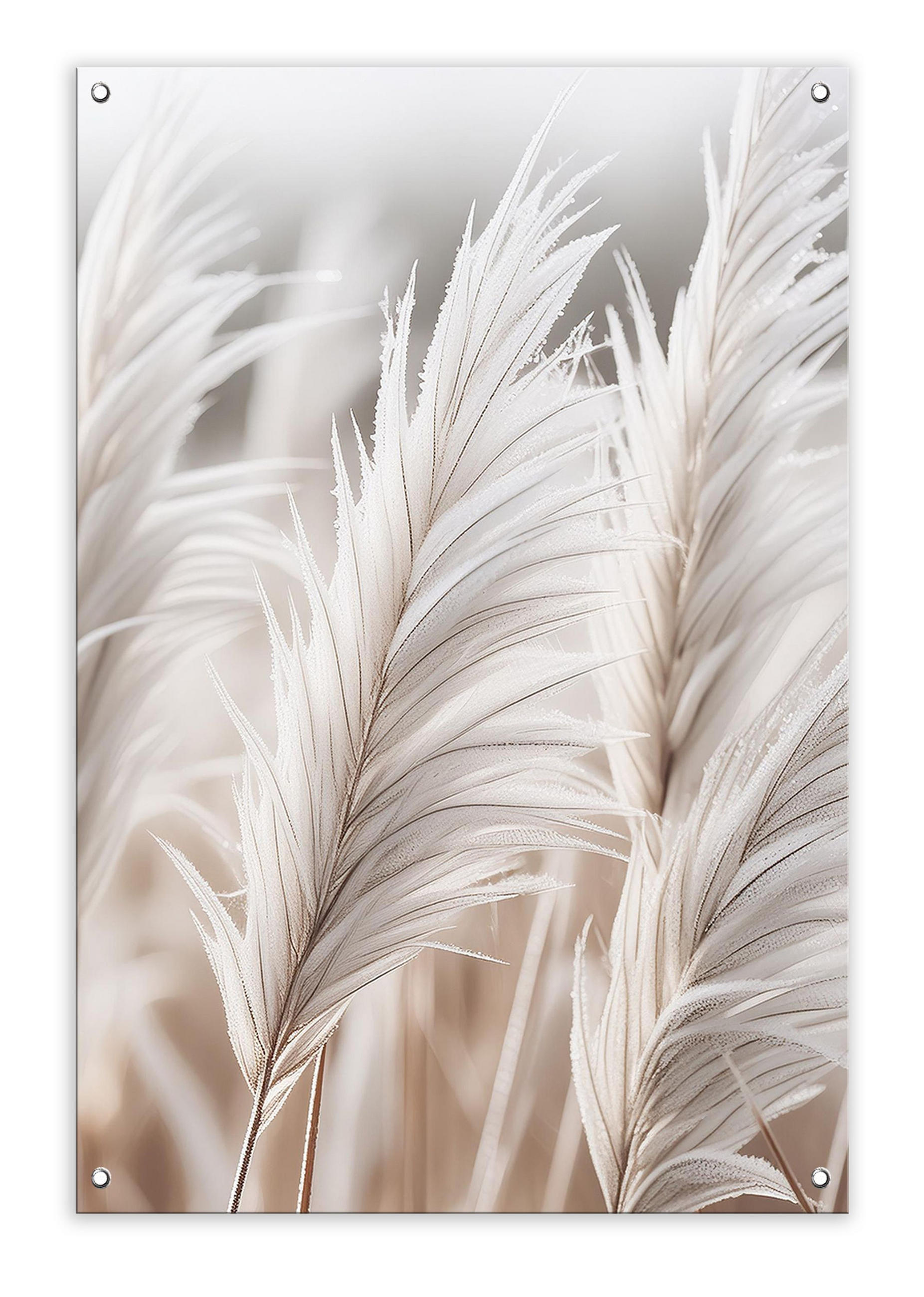 GARTEN-POSTER 60x90 cm Gartendeko: Gräser - Beige, Kunststoff (60/90/2cm) - artissimo