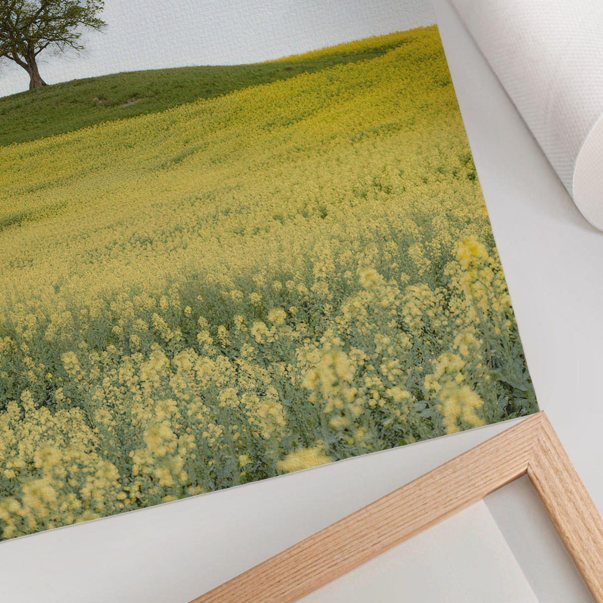 POSTER - 29x42 cm - digitalPhoto - Einsamer Baum - Gelb, Textil (29/42/0.1cm) - TULUP