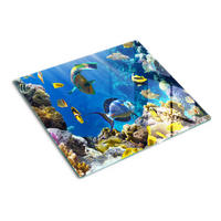 GLASPLATTE 60x52 cm Korallenriff - Gelb/Multicolor, Glas (60/52cm) - TULUP