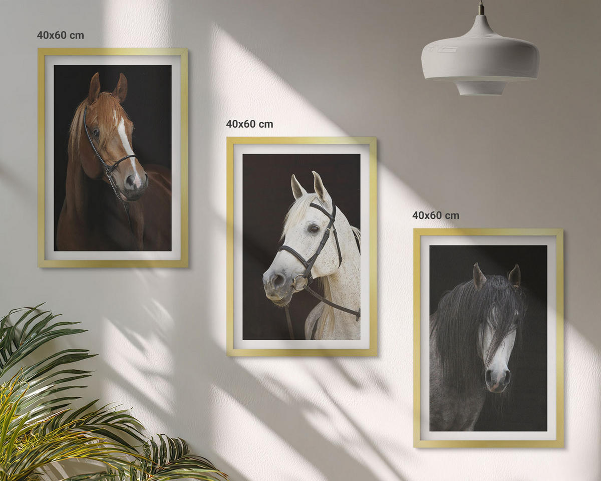 BILDER SET 3er Set - 40x60 cm Goldrahmen - Porträts von Pferden in verschiedenen Fellfarben - Goldfarben, Kunststoff (40/60cm) - TULUP