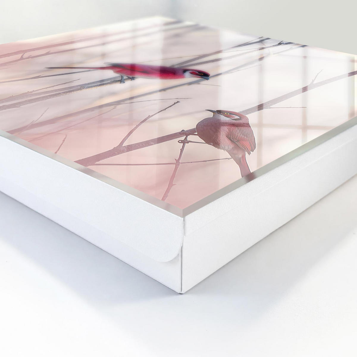 SCHLÜSSELBOX Weiß 30x30 cm – Türöffnung nach rechts - Zwei Vögel - Rot, Metall (30/30/5cm) - TULUP