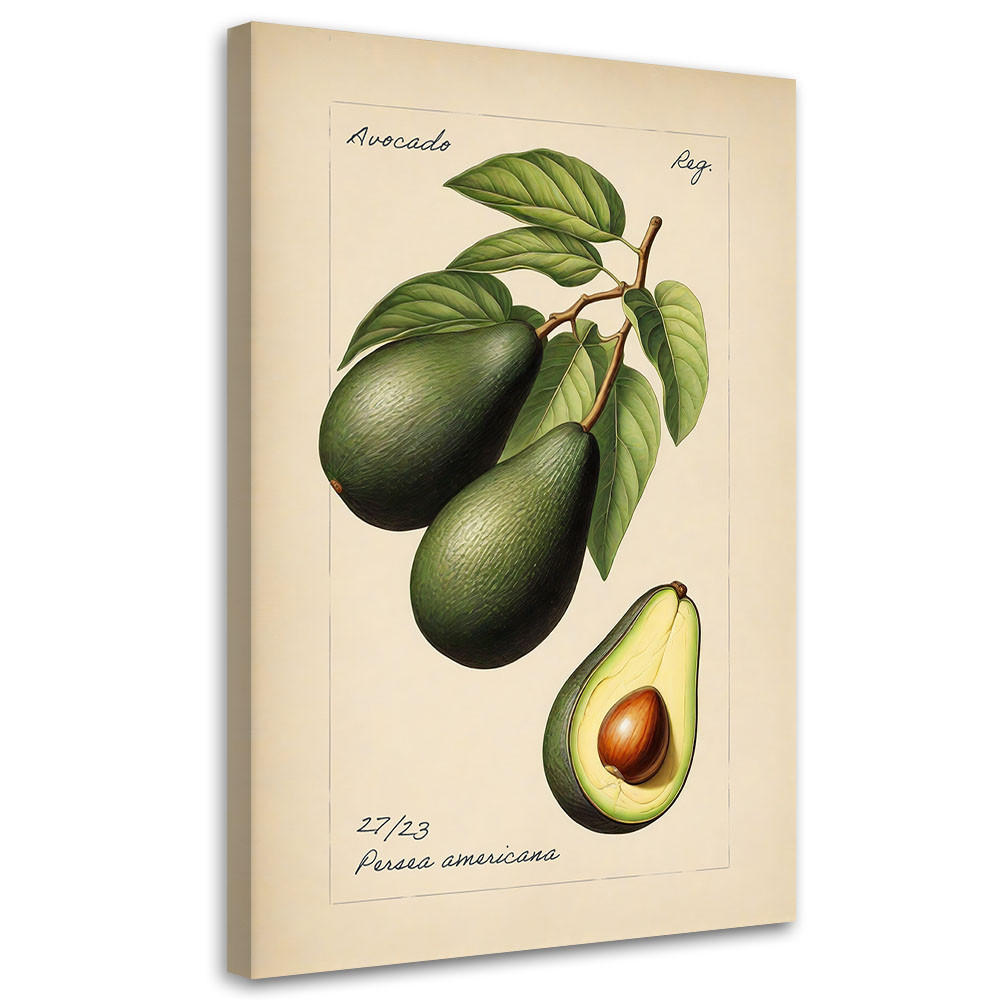 WANDBILD avocado frucht im vintage stil - Beige, Textil (40/60cm) - Feeby