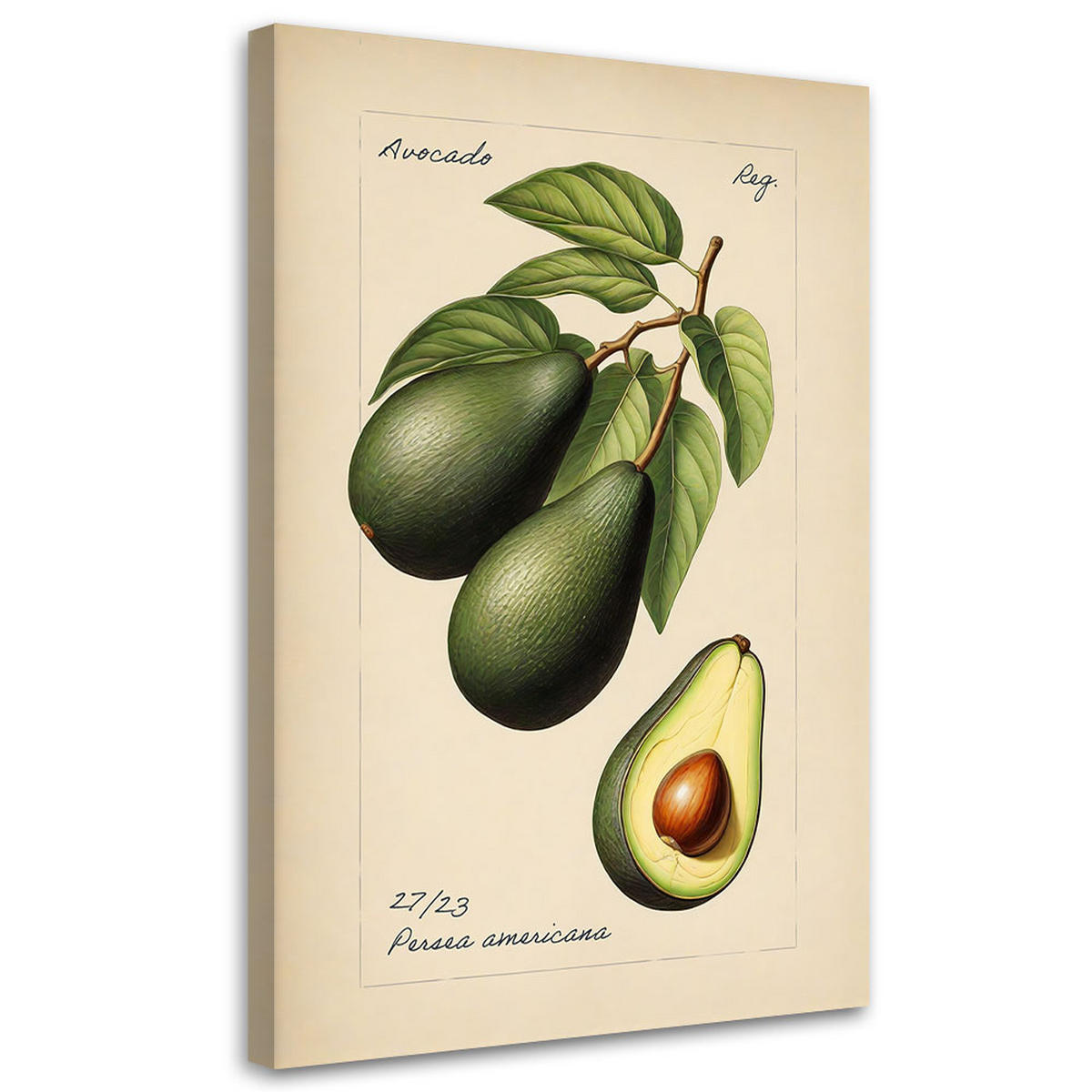 WANDBILD avocado frucht im vintage stil - Beige, Textil (40/60cm) - Feeby