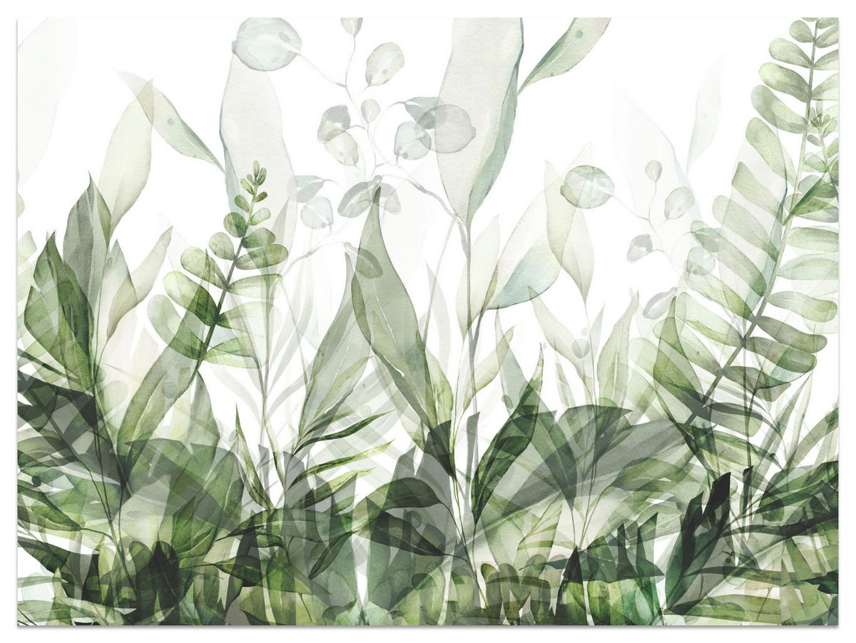 FOTOTAPETE für Schlafzimmer Aquarell Tropische Grüne Blätter Exotisch Blätter 250x175 - Weiß/Grün, Papier (250/175cm) - Muralo