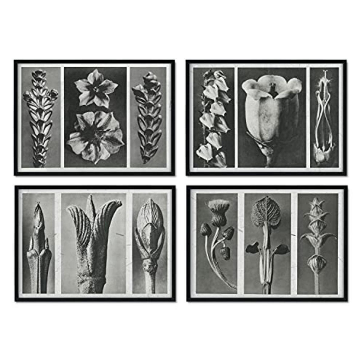 POSTER Set mit 4 Blumenblätter 2 Blumen und Pflanzen in Grausteinen A3 Rahmenlos - Klar, Papier (29.7/3cm) - Nacnic