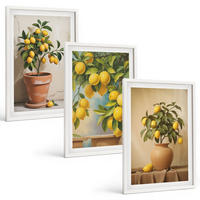 BILDER SET 3er Set - 40x60 cm Weißer Rahmen - Zitronenbäumchen im Topf und in der Vase - Weiß, Kunststoff (40/60cm) - TULUP