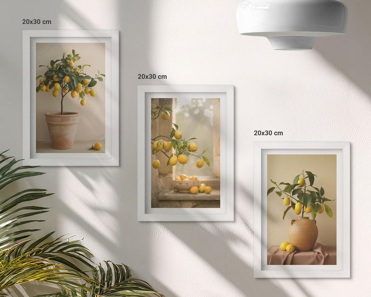 WANDBILDER 3er-Set - 20x30 cm Weißer Rahmen - Zitronenbäume im Topf - Weiß, Kunststoff (20/30cm) - ArtPrintCave