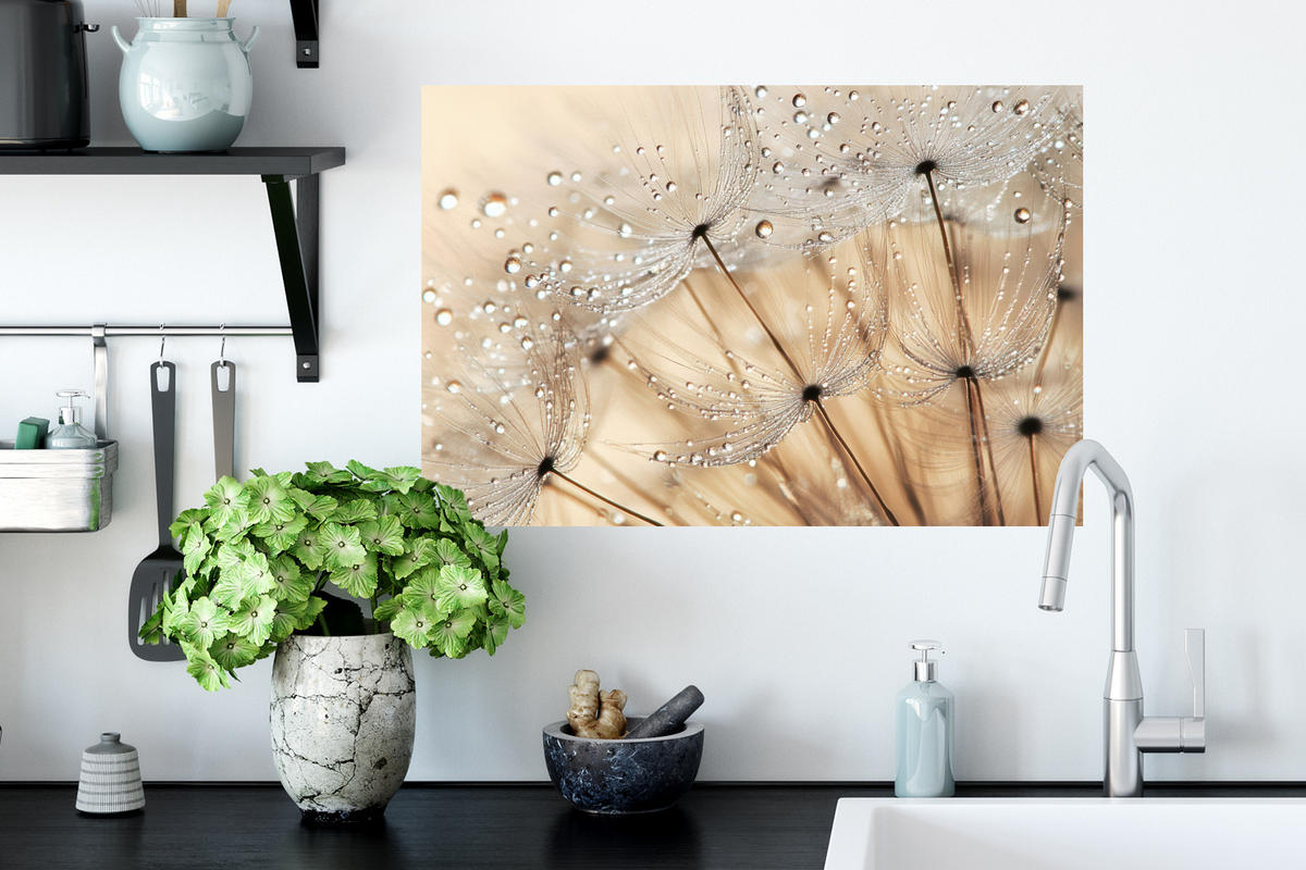 WANDTATTOO Löwenzahn - Abstrakt - Natur - Beige 60x40 cm - Braun, Kunststoff (60/40/0.1cm) - MuchoWow