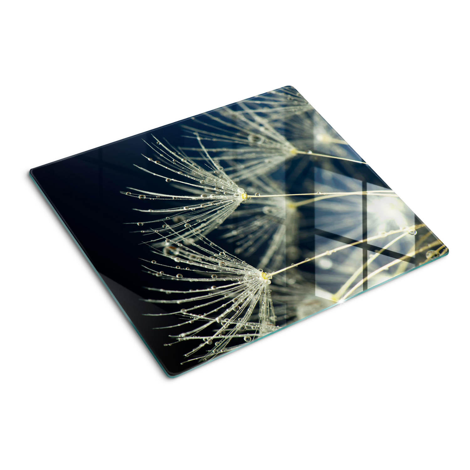 GLASPLATTE 60x52 cm Löwenzahn - Weiß, Glas (60/0.4/52cm) - TULUP
