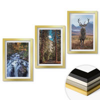 WANDBILDER 3er Set - 20x30 cm Goldrahmen - Wasserfall Wald Berge Hirsch Natur - Goldfarben, Kunststoff (20/30cm) - ArtPrintCave