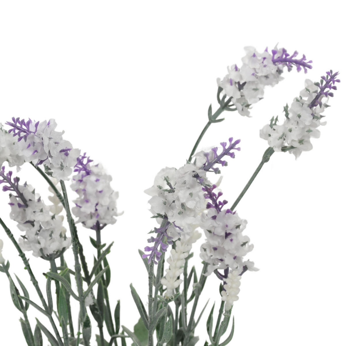 LAVENDEL im Topf 15/15/40 cm - Multicolor, Kunststoff (40cm) - Home Styling Collection