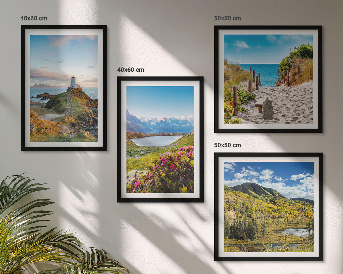 WANDBILDER 4er-Set - 50x50 cm & 40x60 cm Schwarzer Rahmen - Strand, Leuchtturm, Berge, Wiesen, Blumen - Schwarz, Kunststoff (50/50cm) - ArtPrintCave