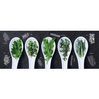 GLASBILD 80x30 cm Küche Kräuter modern - Gelb, Glas (80/30cm) - artissimo