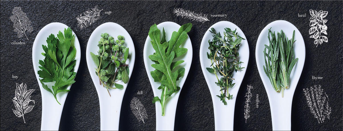 GLASBILD 80x30 cm Küche Kräuter modern - Gelb, Glas (80/30cm) - artissimo