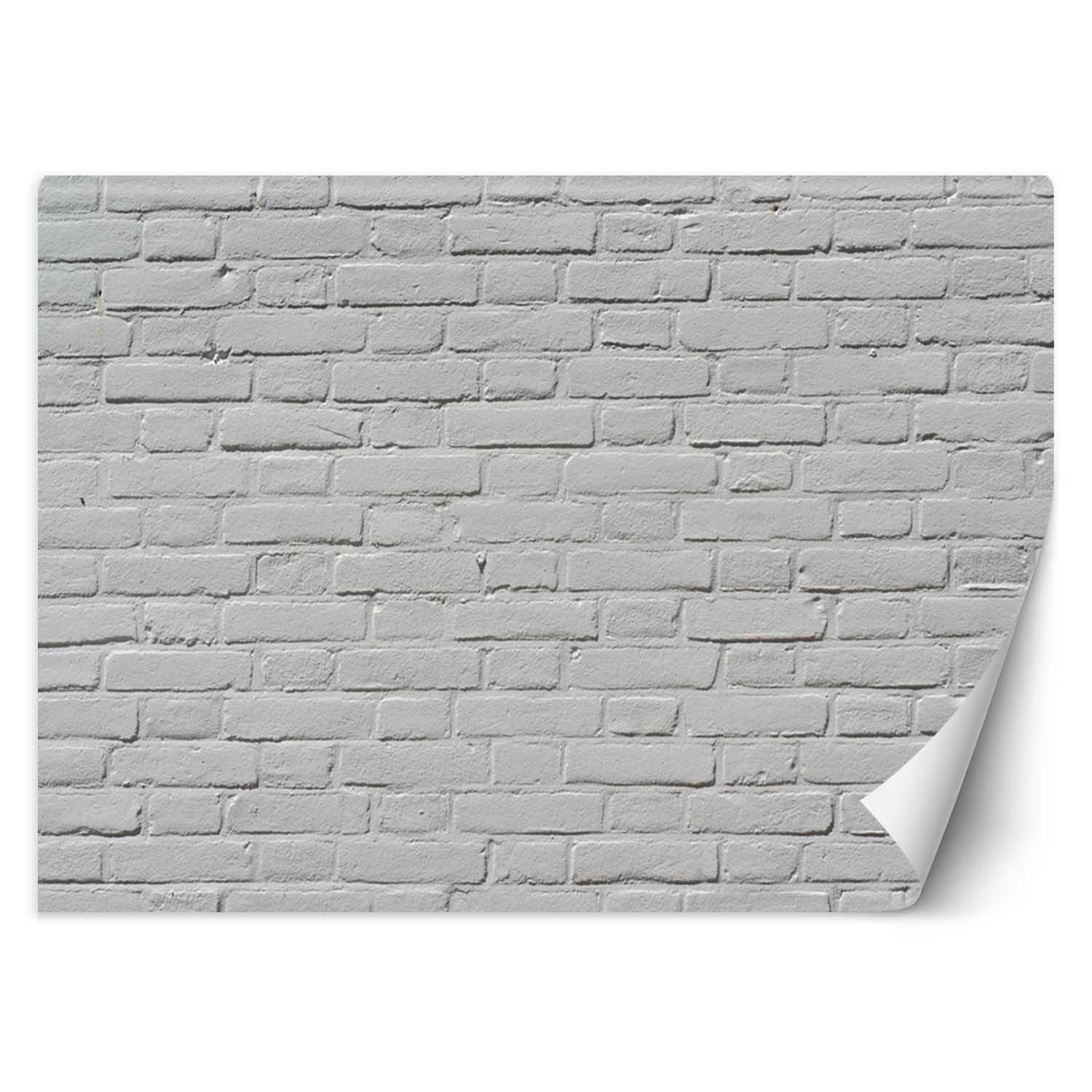 VLIESTAPETE Grau 250/175 cm - Grau, Papier (250/1cm) - KUNSTLOFT